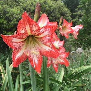 Meet your Posher, Pamela